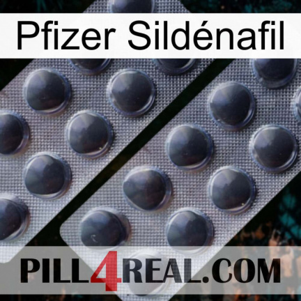 Pfizer Sildénafil 31